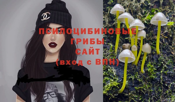 гашик Абинск