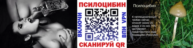 Галлюциногенные грибы MAGIC MUSHROOMS  Новоаннинский 
